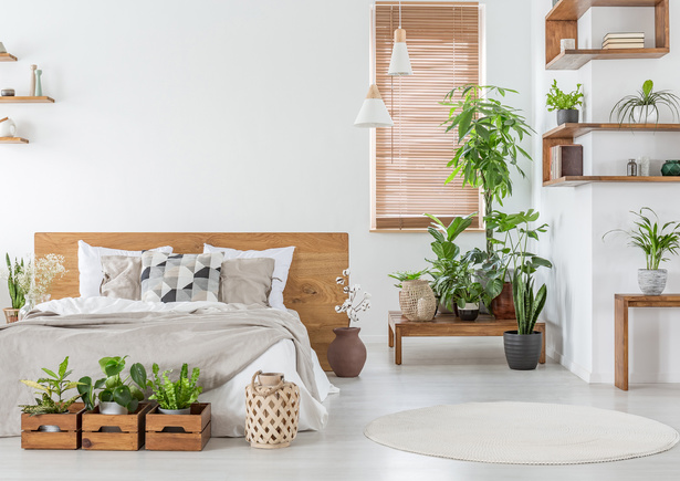 QiA Tips, Interiorismo